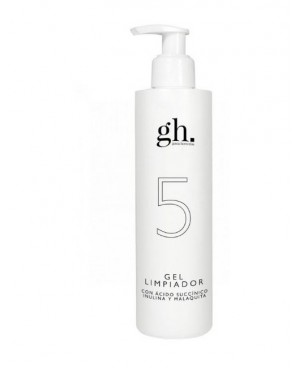 GH 5 GEL LIMPIADOR 250ML